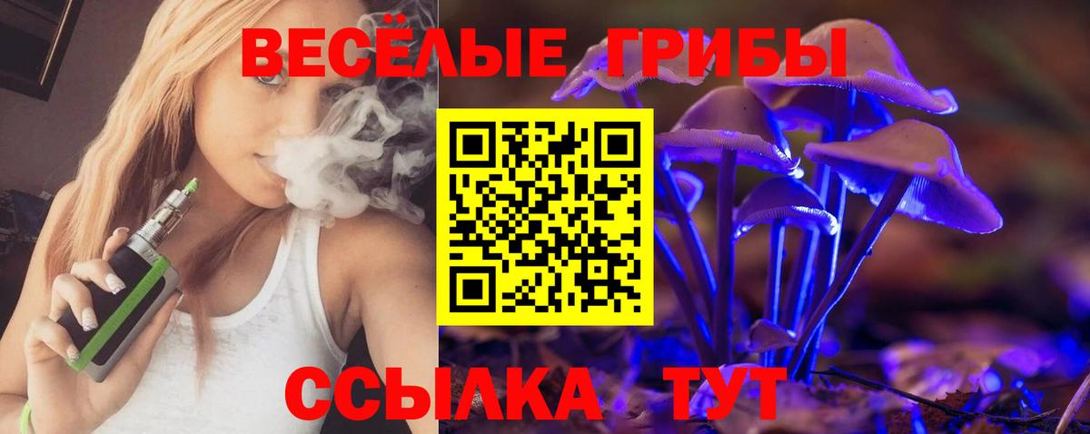 Галлюциногенные грибы MAGIC MUSHROOMS  Псилоцибиновые грибы Magic Shrooms  Вход с VPN  Лыткарино 